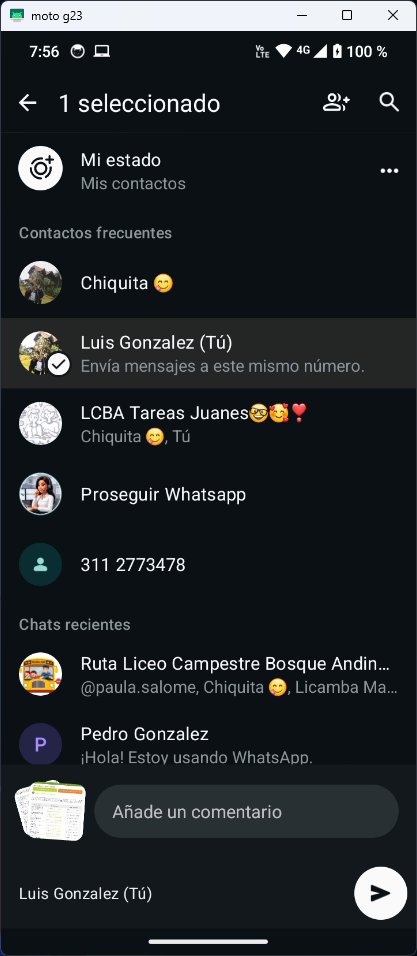 Captura de pantalla PDF a PNG 4